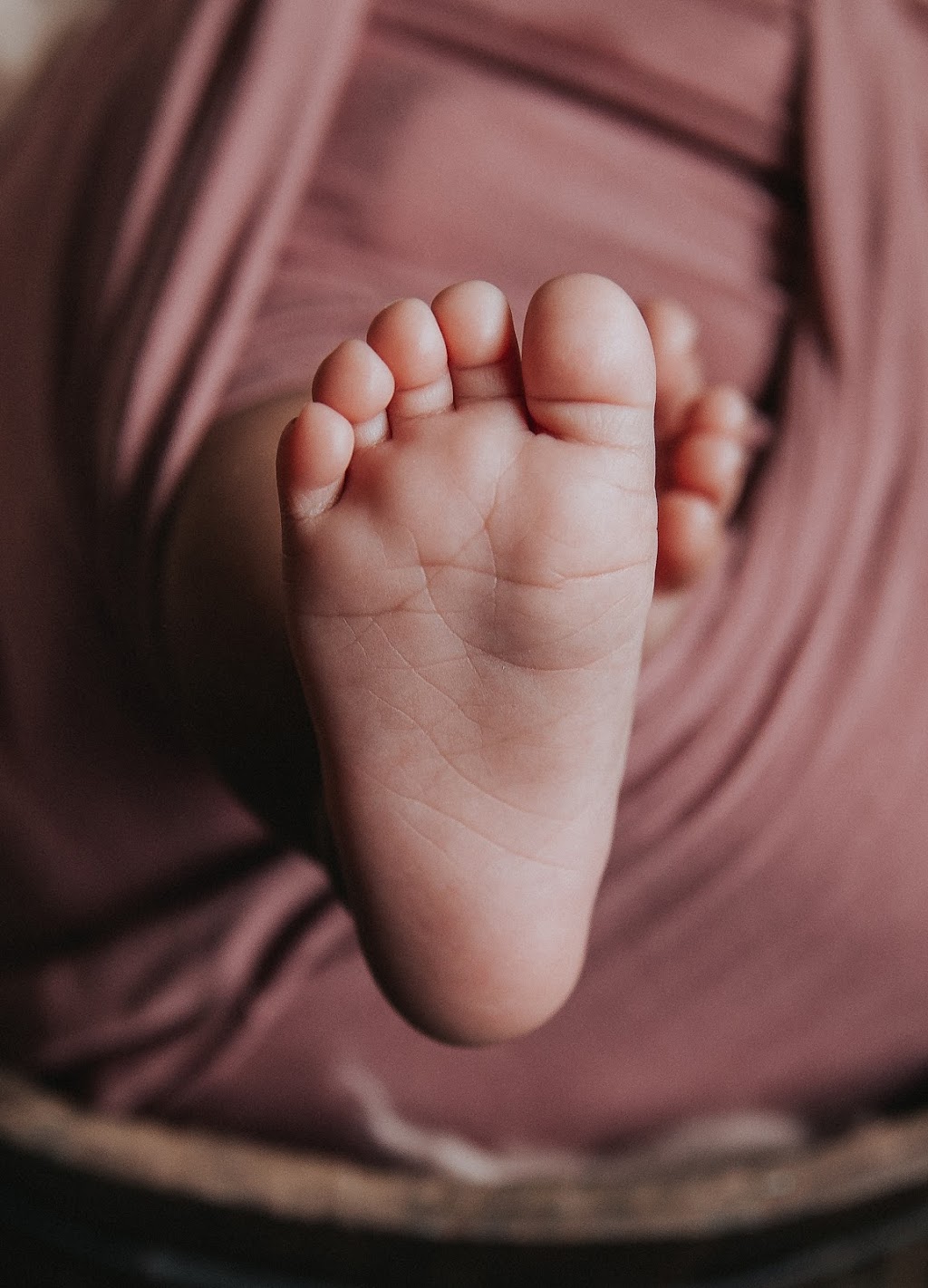 Amanda Lee Photography | 726 Lampson St #205, Victoria, BC V9A 6A6, Canada | Phone: (250) 402-8509