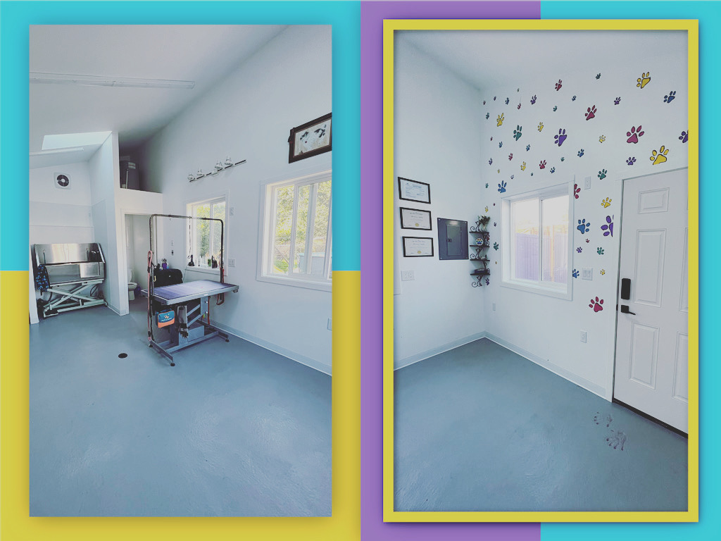 Chilliwack Canine to Feline Grooming | 9770 Carleton St, Chilliwack, BC V2P 6E3, Canada | Phone: (604) 819-2052
