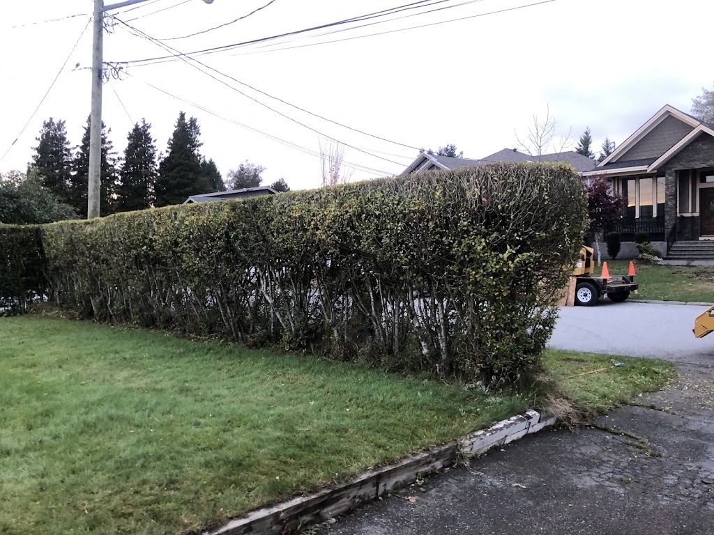 Nick Landscaping & Tree-Cutting Service Ltd | 12138 95a Ave, Surrey, BC V3V 1P8, Canada | Phone: (778) 855-3400