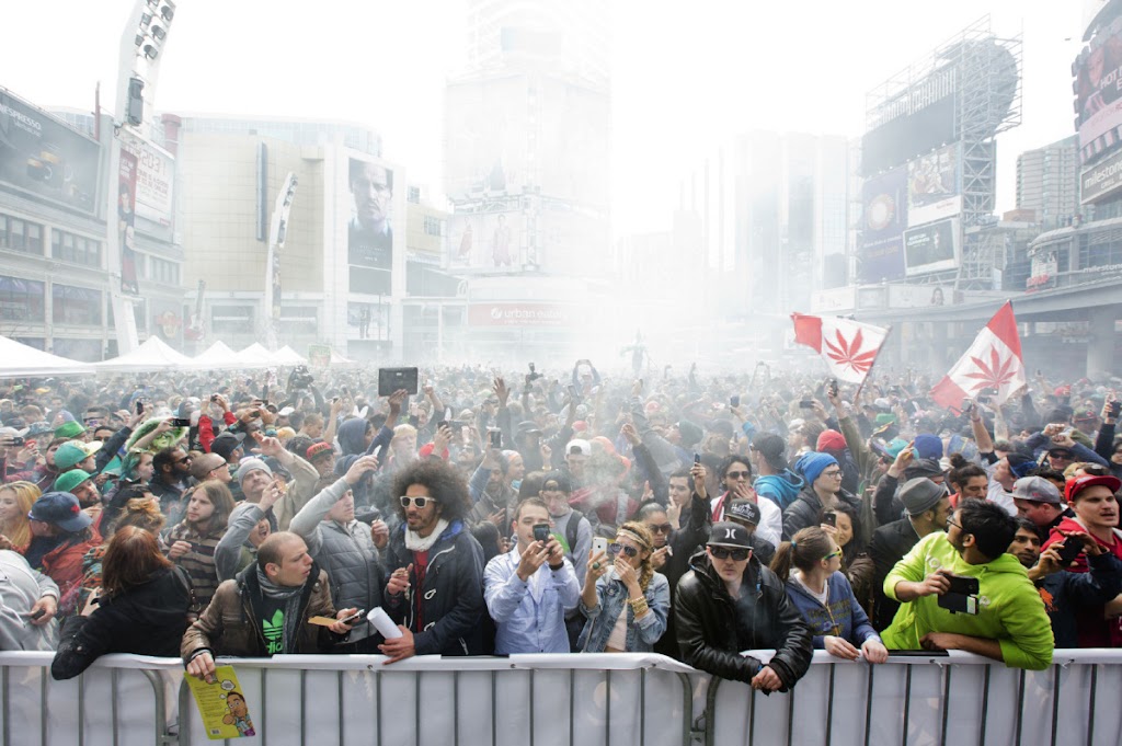 Hashmob Media | 1001 Rymal Rd E, Hamilton, ON L8W 3M2, Canada | Phone: (647) 830-1420