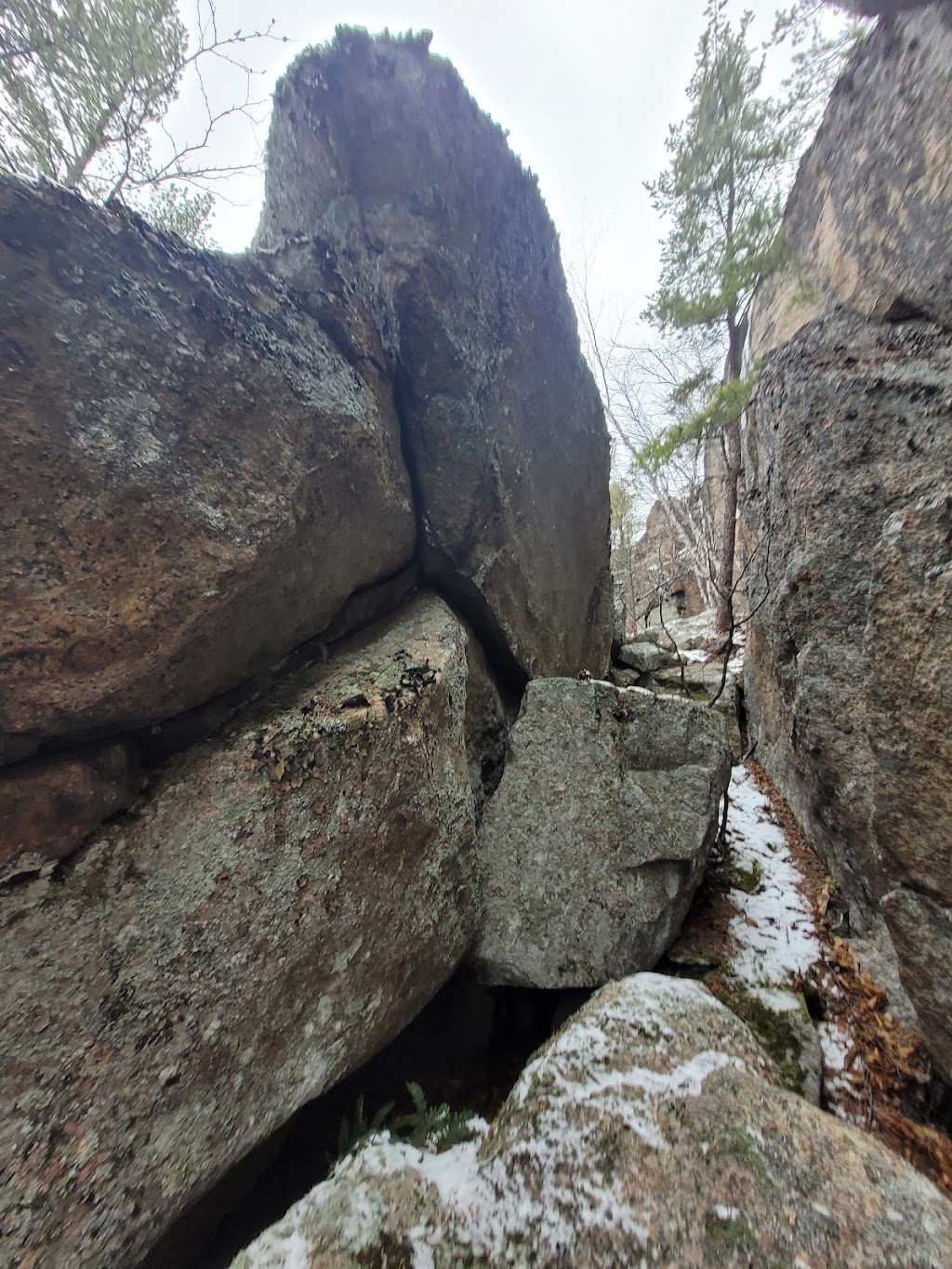 Cap Ouest Nature - Randonnée en voiturette de golf | 2553 Chemin St Joseph, Saguenay, QC G7B 3N9, Canada | Phone: (418) 544-8040