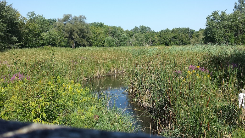 Cedar Valley Park | Markham, ON L3P, Canada