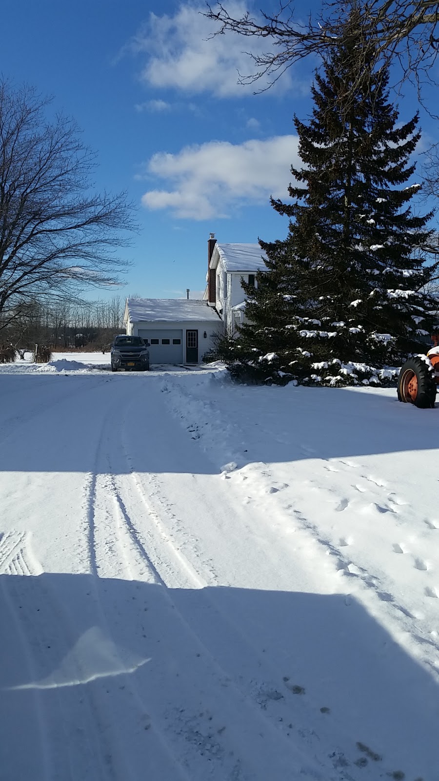 AAA Timberline, Inc. | 6670 Heise Rd, Clarence Center, NY 14032, USA | Phone: (716) 741-2400