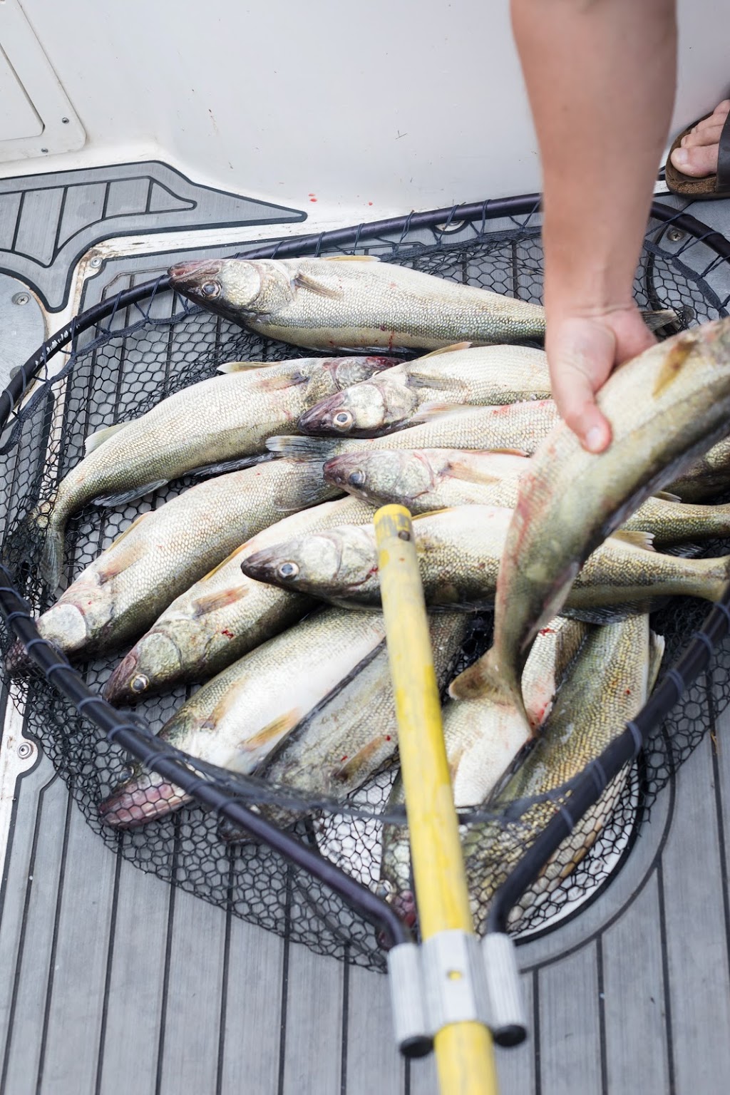 Jimmy Riggin Fishing Charters | 136 Erie Blvd, Port Rowan, ON N0E 1M0, Canada | Phone: (519) 586-7990