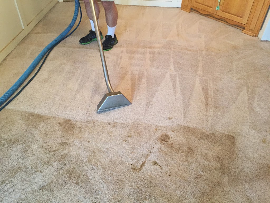 Able Carpet Care | 11291 236 St, Maple Ridge, BC V2W 1W7, Canada | Phone: (604) 467-4457