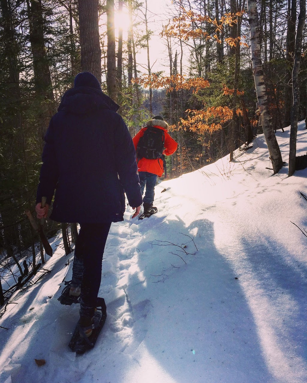 Le NOMADE Mont-Tremblant | 439 Chemin de la Côte aux Trembles, Lac-Supérieur, QC J0T 1J0, Canada | Phone: (819) 688-3994