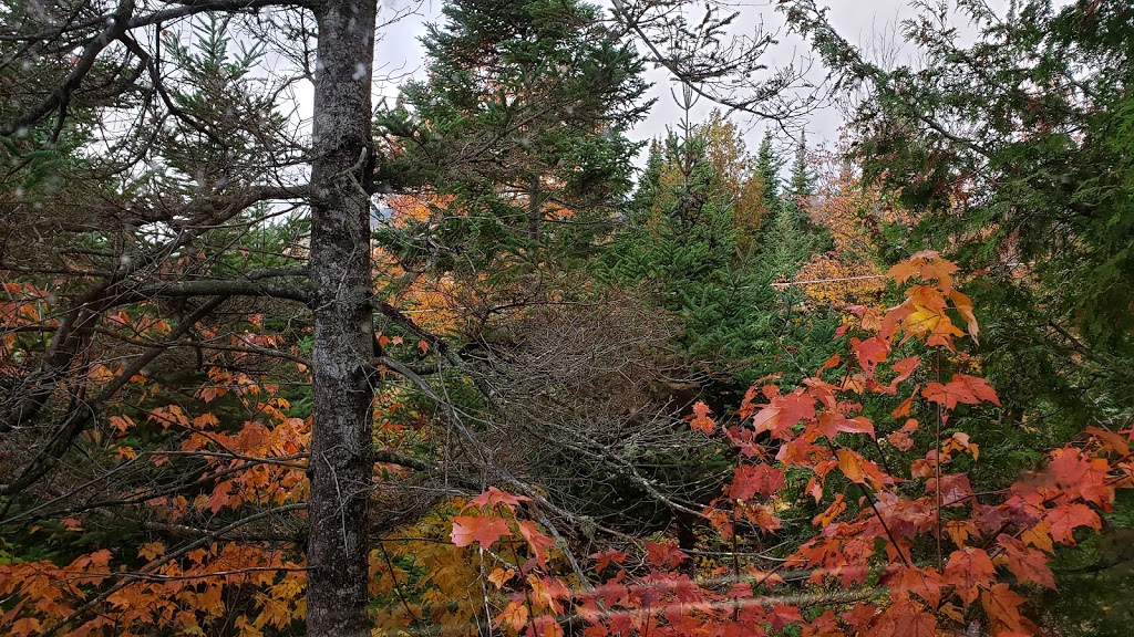 Camping Cédrière Mountain | 4149 Chemin de la Montagne, Milan, QC G0Y 1E0, Canada | Phone: (819) 888-1064