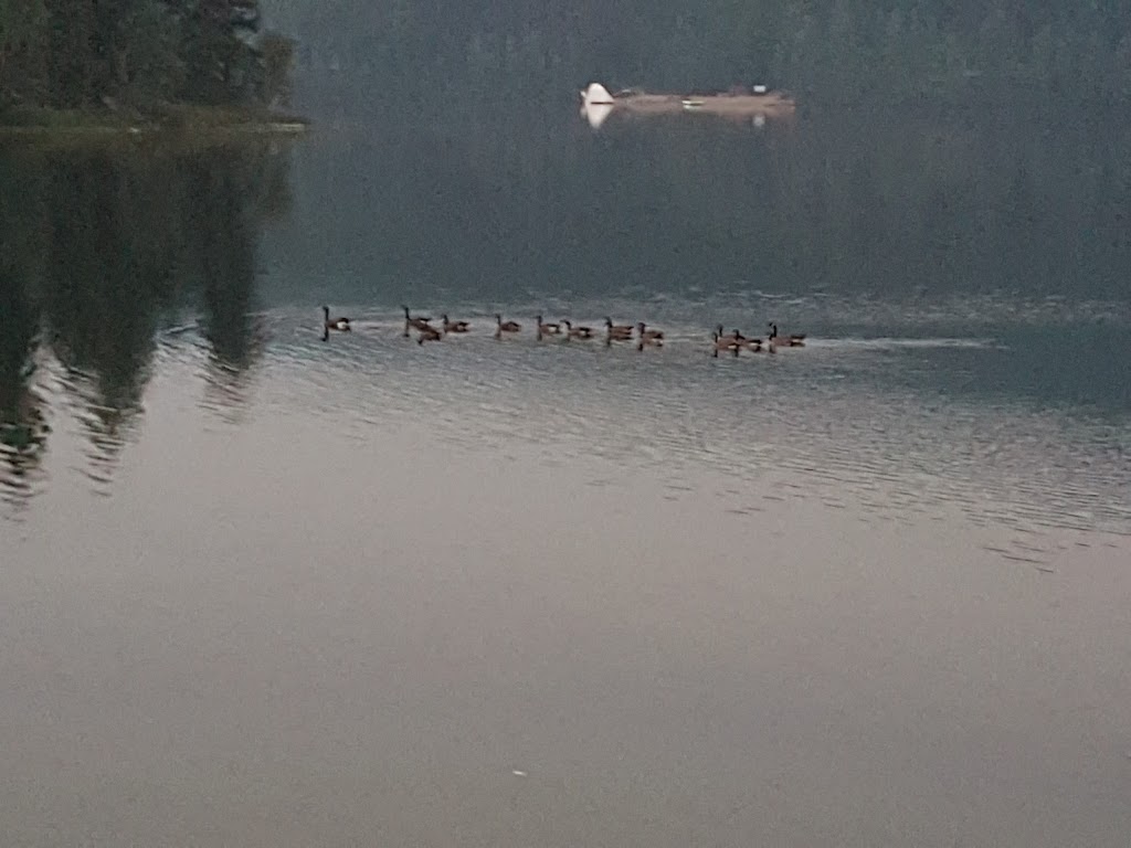 Fishing Spot At Gardom | Main Island, Columbia-Shuswap D, BC V0E, Columbia-Shuswap D, BC V0E, Canada | Phone: (250) 859-3464