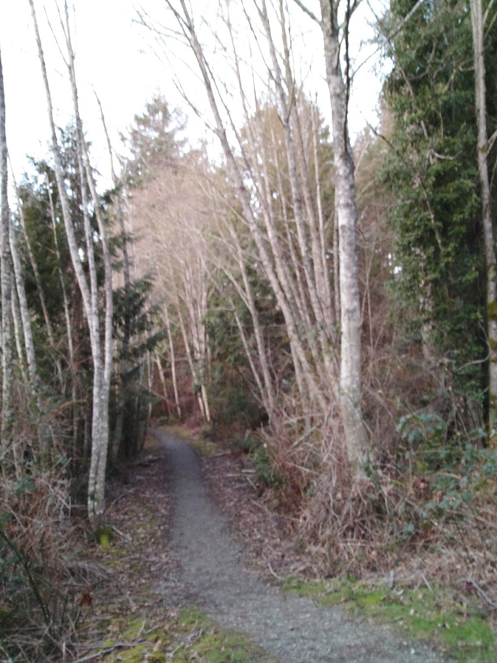 Duck Pond | 11119 Greenpark Dr, North Saanich, BC V8L 5N5, Canada