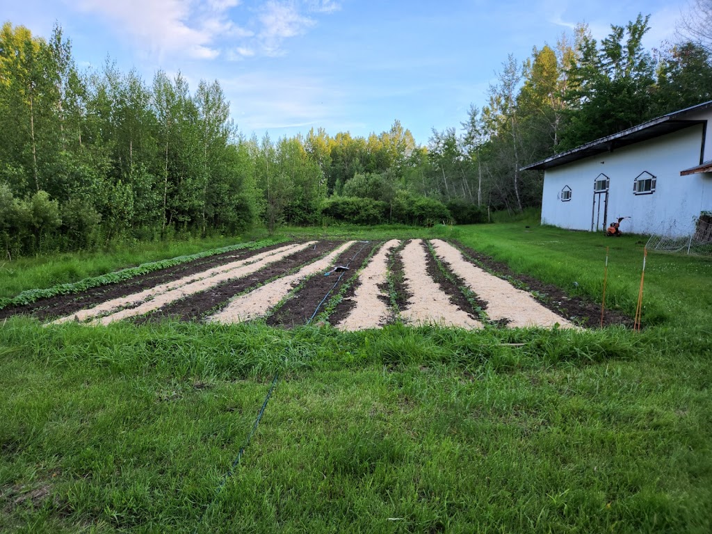 Les Fermes Moulton Farms | 4 202 O, Hemmingford, QC J0L 1H0, Canada | Phone: (438) 881-2843