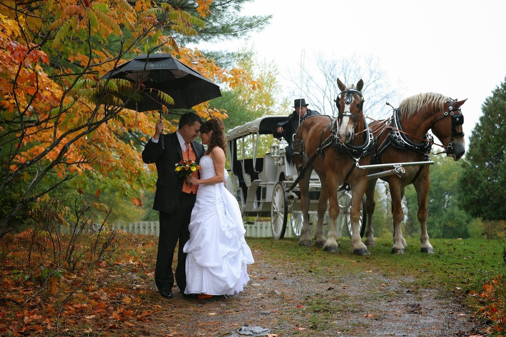 COBOURG Lasting Memories Bridal & Evening Wear | Evening Appointments Available, 158 Hibernia St, Cobourg, ON K9A 3J8, Canada | Phone: (905) 373-1312