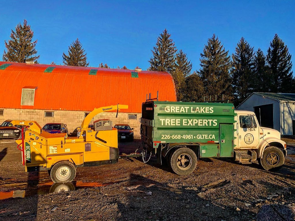 Great Lakes Tree Experts (3) | 5782 ON-9, Kincardine, ON N2Z 2X5, Canada | Phone: (226) 668-4961