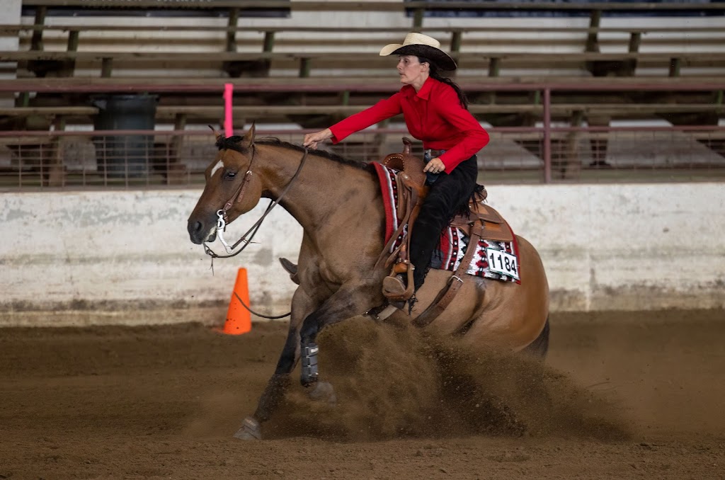 Erie Wind Stables | 24782 Silver Clay Line, West Lorne, ON N0L 2P0, Canada | Phone: (519) 939-1667