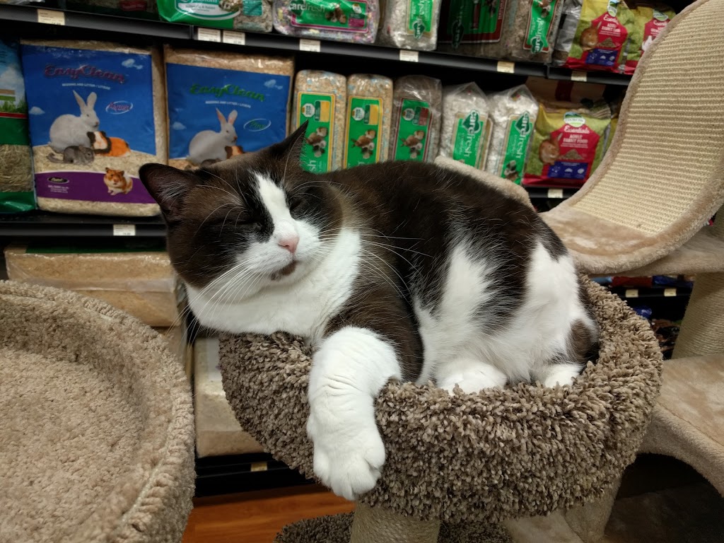 Pet Valu | 27 Marion St, Winnipeg, MB R2H 0S8, Canada | Phone: (204) 237-7383