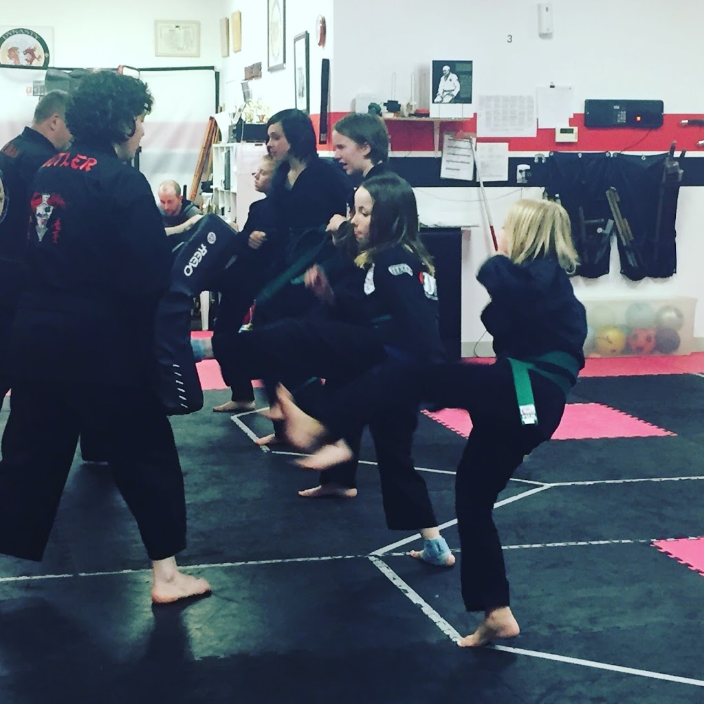 Dynasty Martial Arts | 12 Graham St Unit D, Blenheim, ON N0P 1A0, Canada | Phone: (519) 355-5425