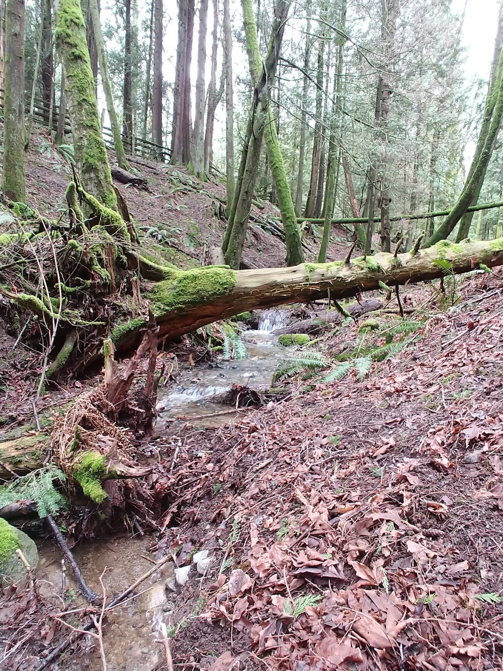 Campbell Valley Regional Park | 20290 16 Ave, Langley City, BC V2Z 1W5, Canada | Phone: (604) 530-4983