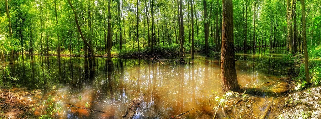 Big Bend Conservation Area | 21239 Big Bend Rd, Southwest Middlesex, ON N0L, Canada | Phone: (519) 264-2420