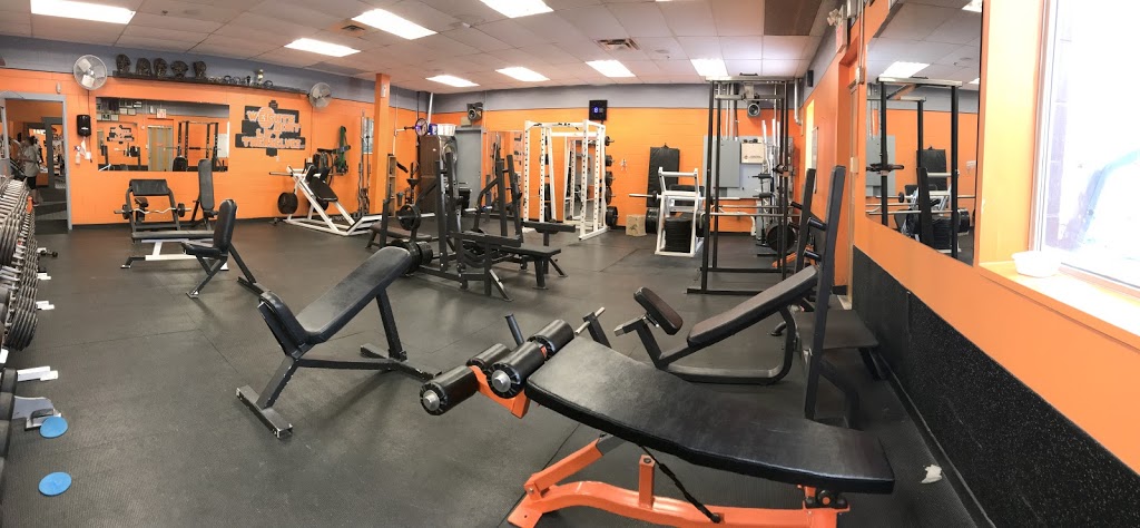 The Fit Effect Inc | 326 Grand River St N, Paris, ON N3L 3R7, Canada | Phone: (519) 442-5500