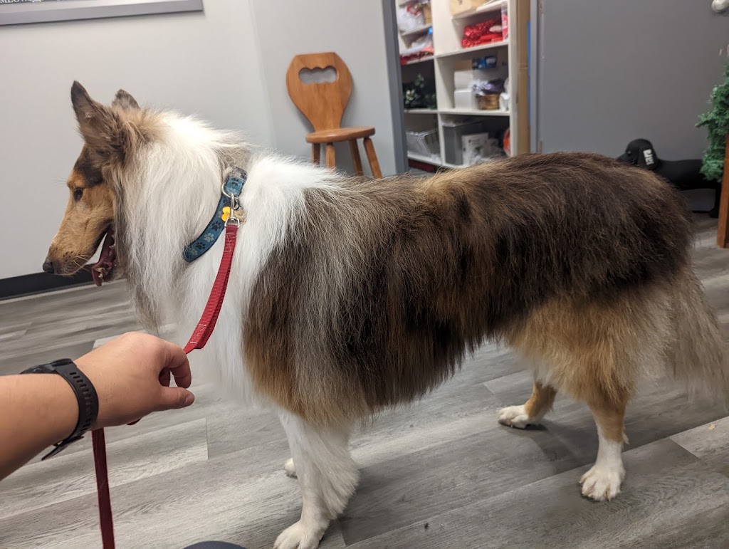 Nadias Grooming | 1575 Ellesmere Rd, Scarborough, ON M1P 2Y3, Canada | Phone: (416) 797-3545