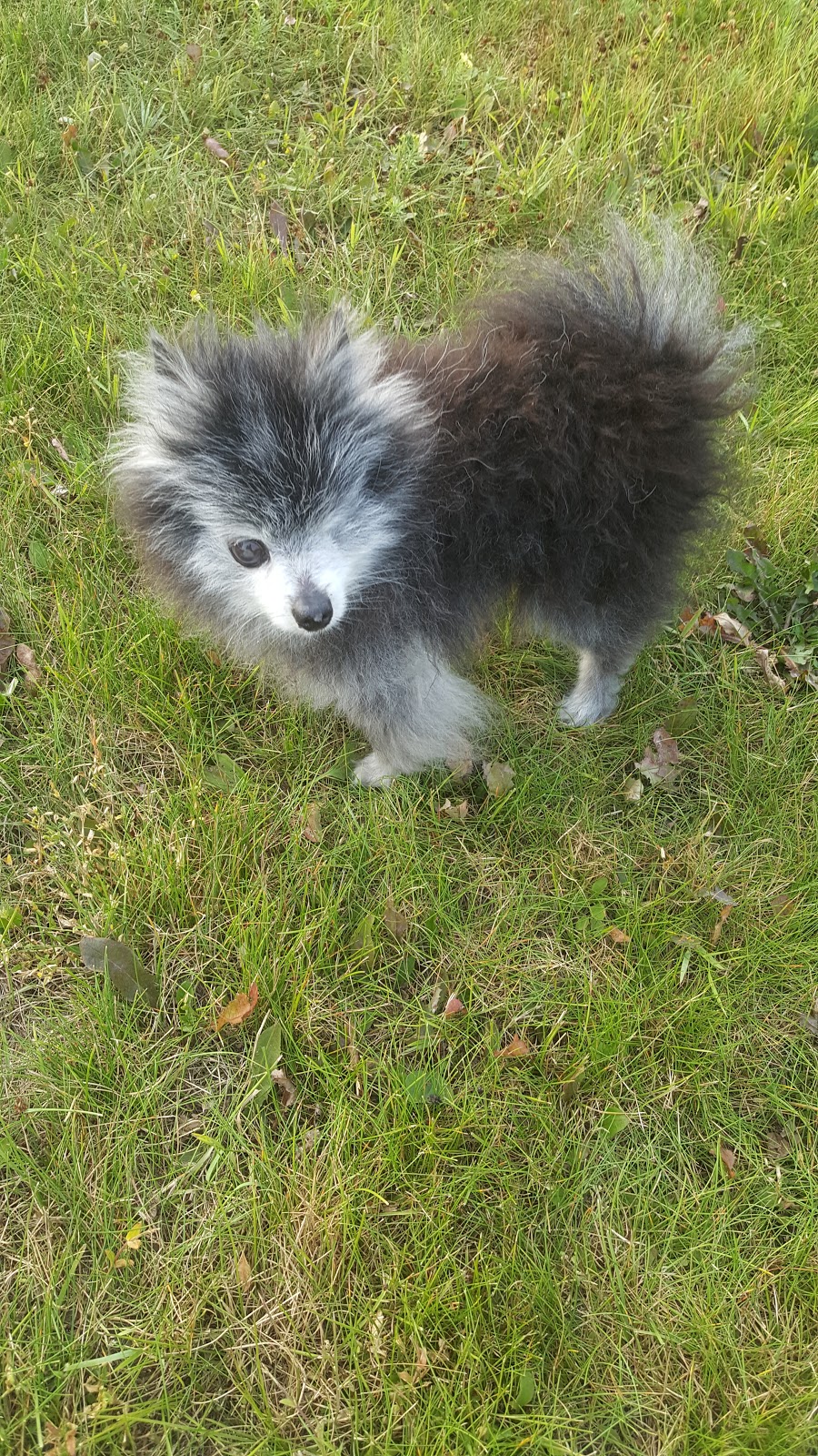 Beck Veterinary Clinic Ltd | 5848 111 St NW, Edmonton, AB T6H 3G1, Canada | Phone: (780) 432-7402