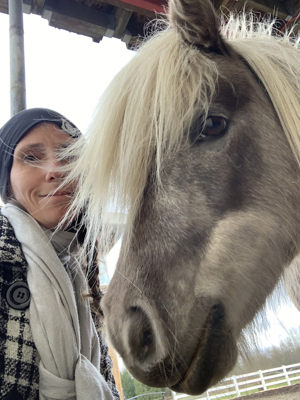 Freedom To Feel & Horse Guided Healing | 2708 210 St, Langley, BC V2Z 2A9, Canada | Phone: (778) 808-3982