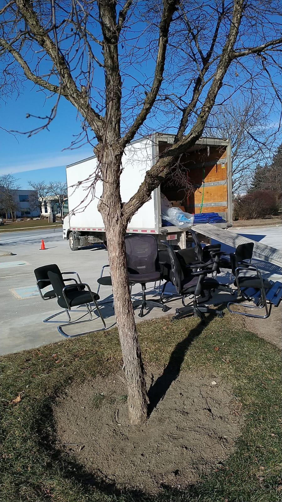 DILIGENT MOVERS | Residential and office MOVERS | 554 Warhol Way, Mississauga, ON L5W 1M1, Canada | Phone: (647) 616-6601