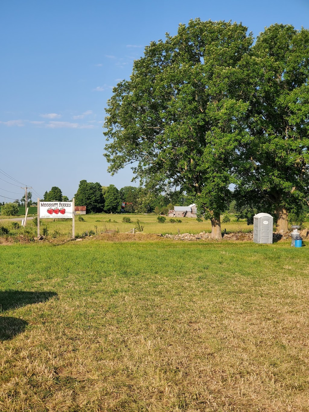 Mississippi Berries | 2430 Ferguson Falls Rd, Lanark, ON K0G 1K0, Canada | Phone: (613) 259-9911