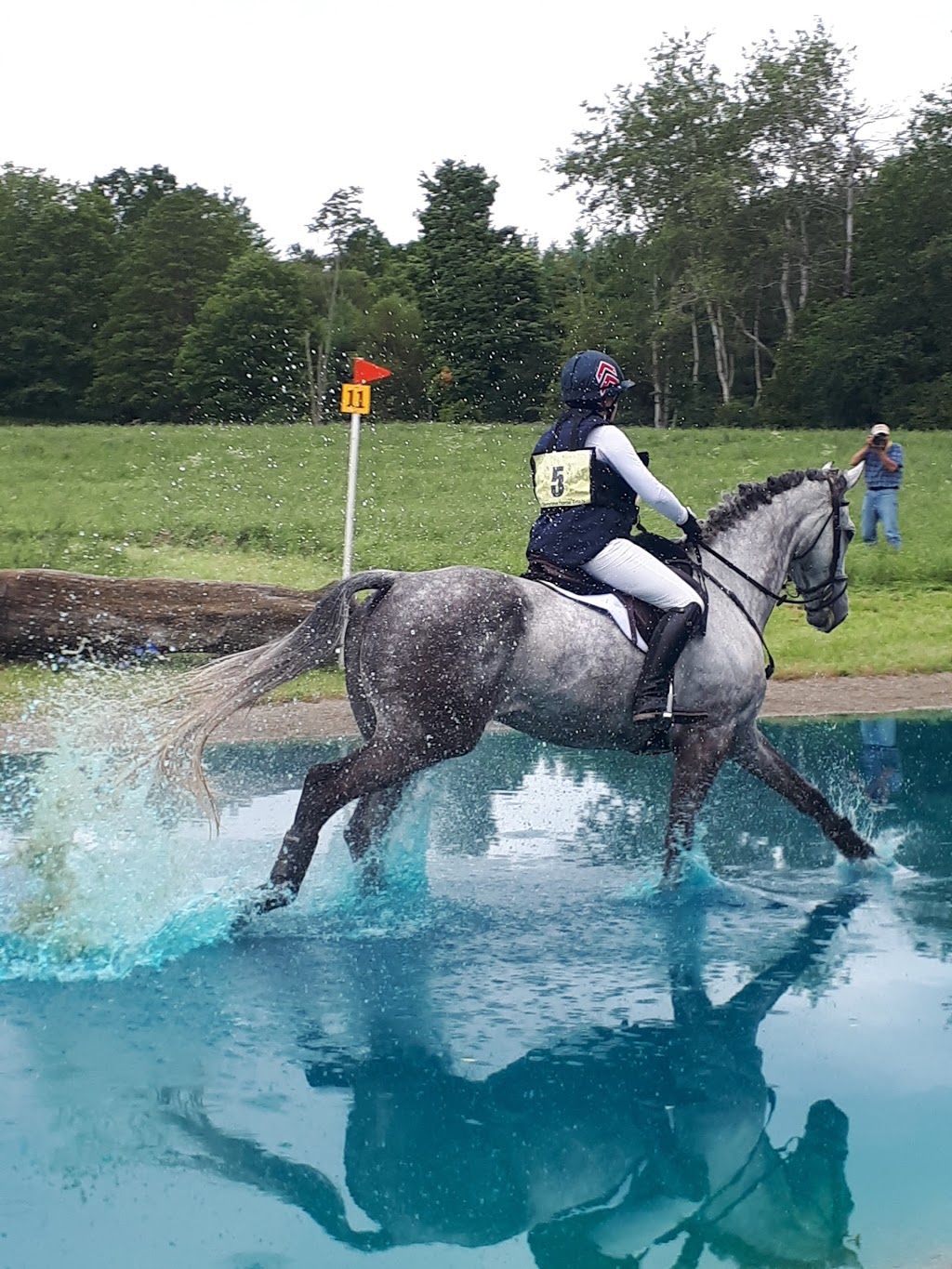 Cherrylane Equestrian Centre Inc | 4145 ON-6, Puslinch, ON N0B 2J0, Canada | Phone: (519) 767-6067