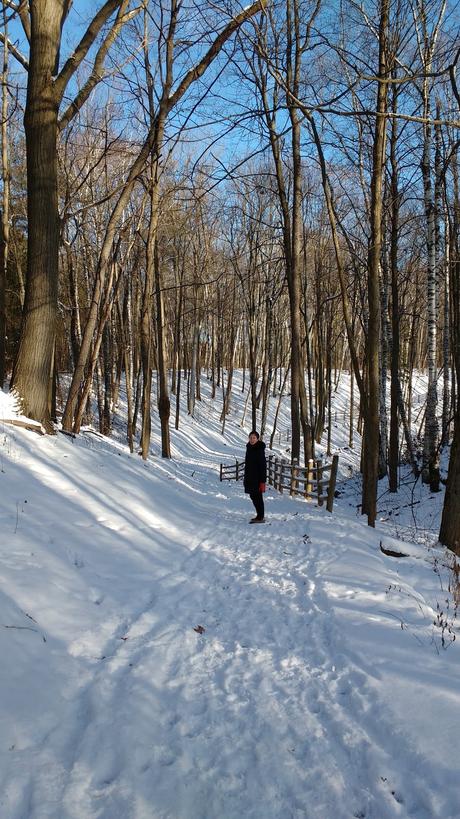 Jefferson Forest | Stouffville Rd, Richmond Hill, ON L4E 5B4, Canada