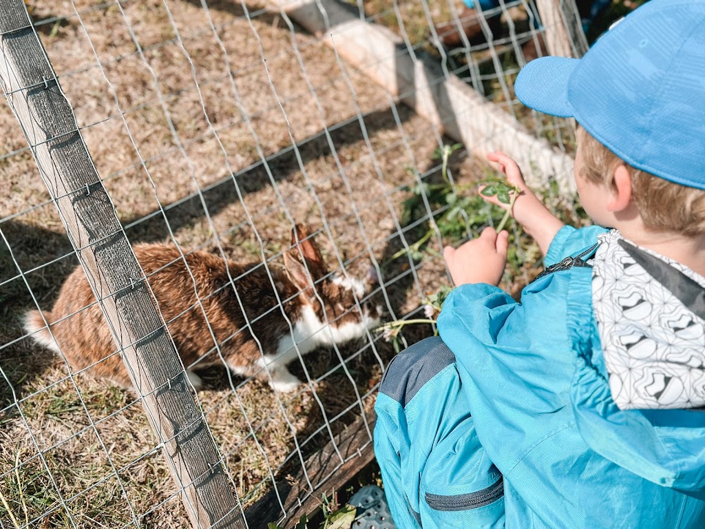 Gathered and Grown Family Farm | RR 3 Site 5, Rimbey, AB T0C 2J0, Canada | Phone: (403) 877-4031