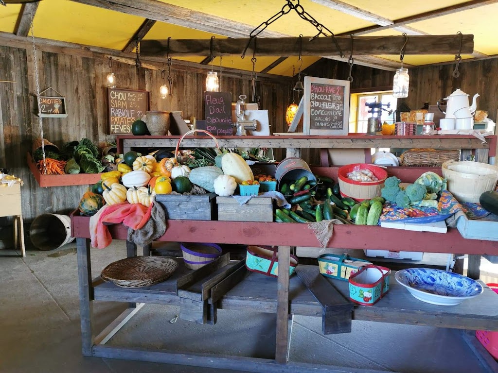 Ferme Tournesol | 5050 Rte des Bouleaux, Shipshaw, QC G7P 1E3, Canada | Phone: (418) 412-4858