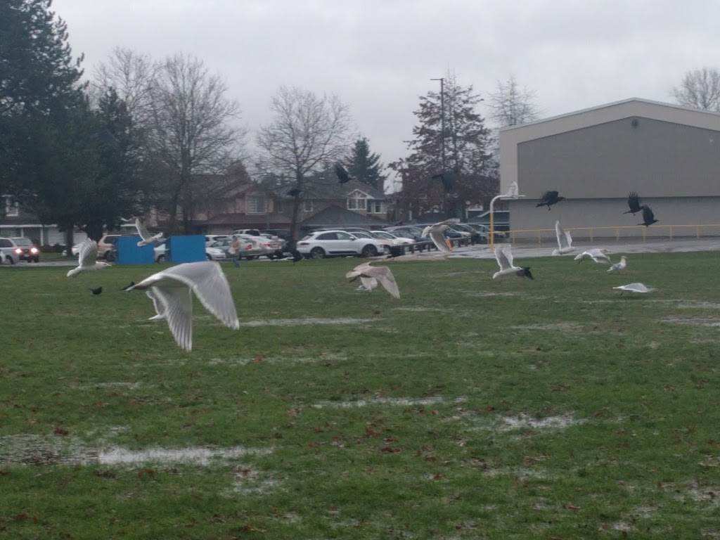Talmey Neighborhood School Park | Capstan Way, Richmond, BC V6X 3N2, Canada
