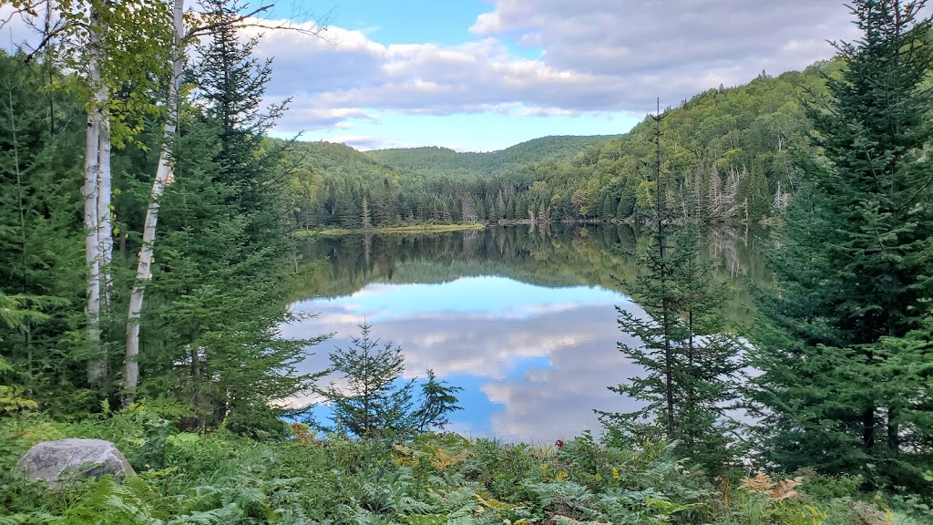 Les Chalets du Pic - Le Petit Pic | 327 Rang du, Rang Pic-Dur, Sainte-Béatrix, QC J0K 1Y0, Canada | Phone: (514) 941-8822