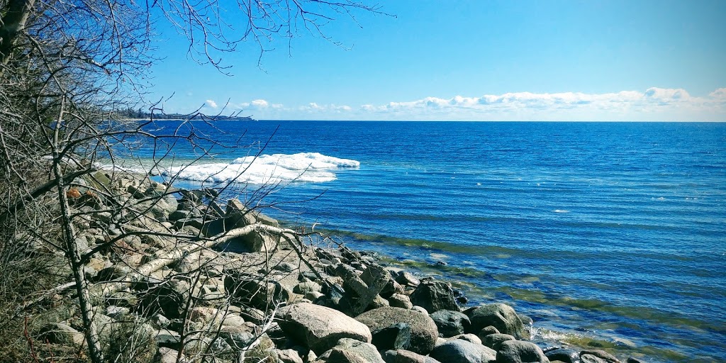 Camp Arnes | 121121 Private 222 Road, Arnes, MB R0C 0C0, Canada | Phone: (204) 338-4647