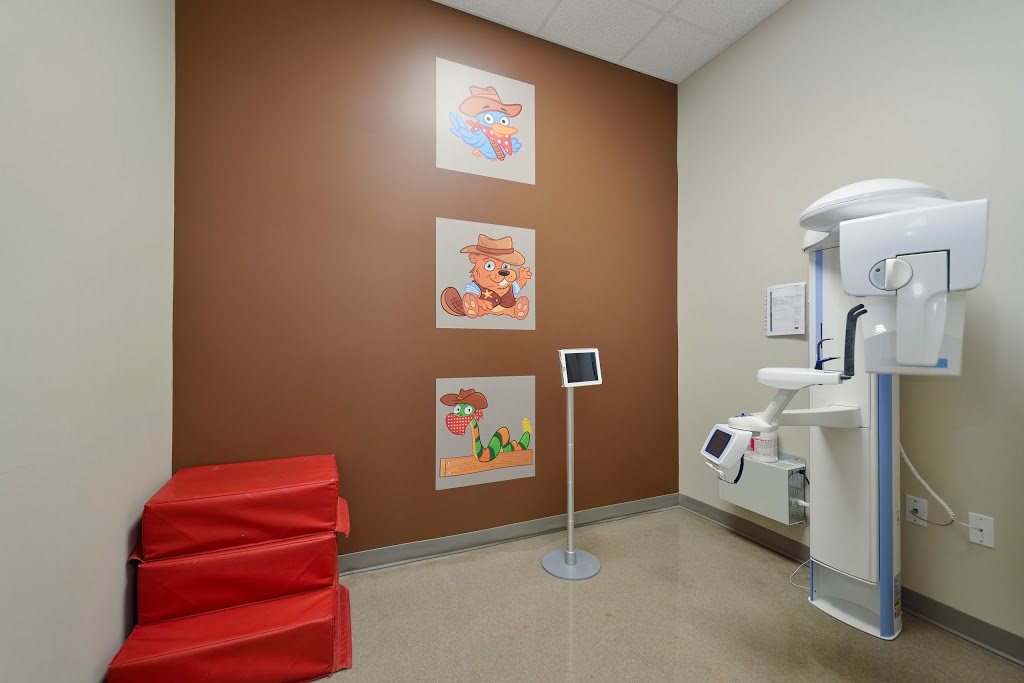 Smile Town | 5 Meadowcreek Ln, Cambridge, ON N3H 4R8, Canada | Phone: (519) 749-9981