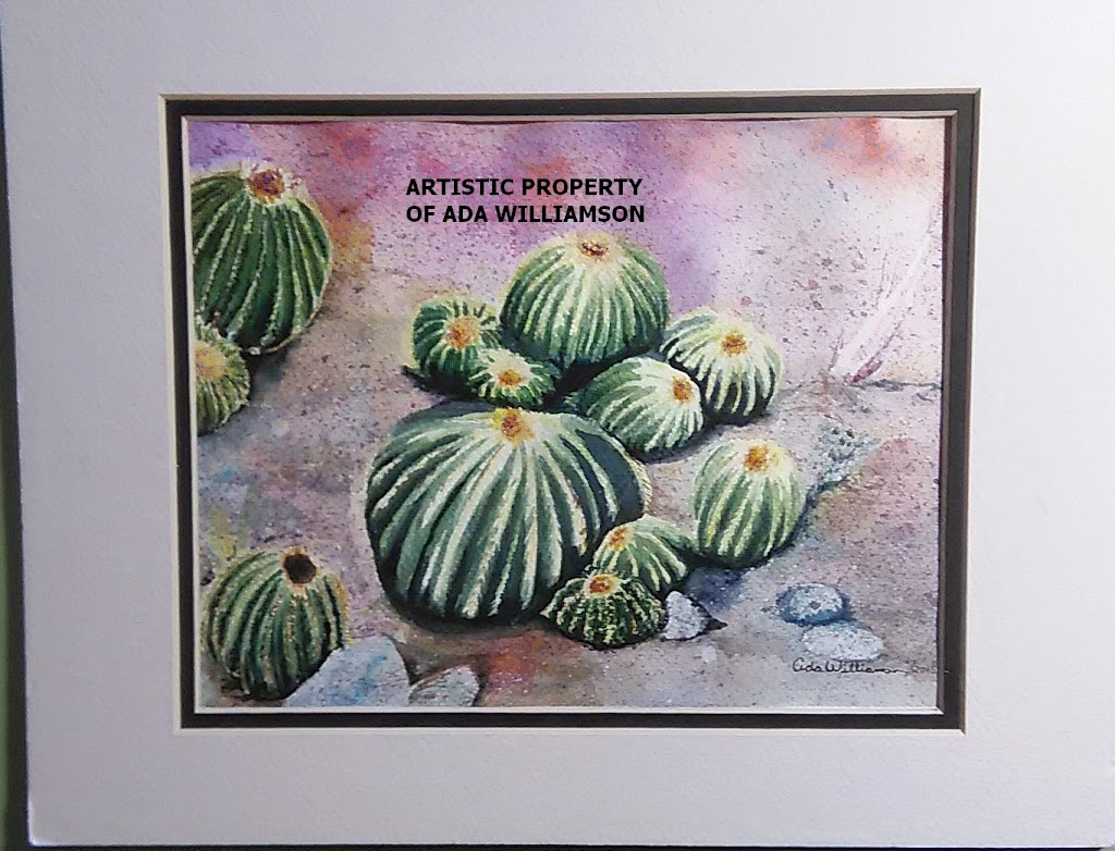 Adas Watercolour Artworks & More | 5 Lansdowne Rd N, Cambridge, ON N1S 2S7, Canada | Phone: (519) 635-9212
