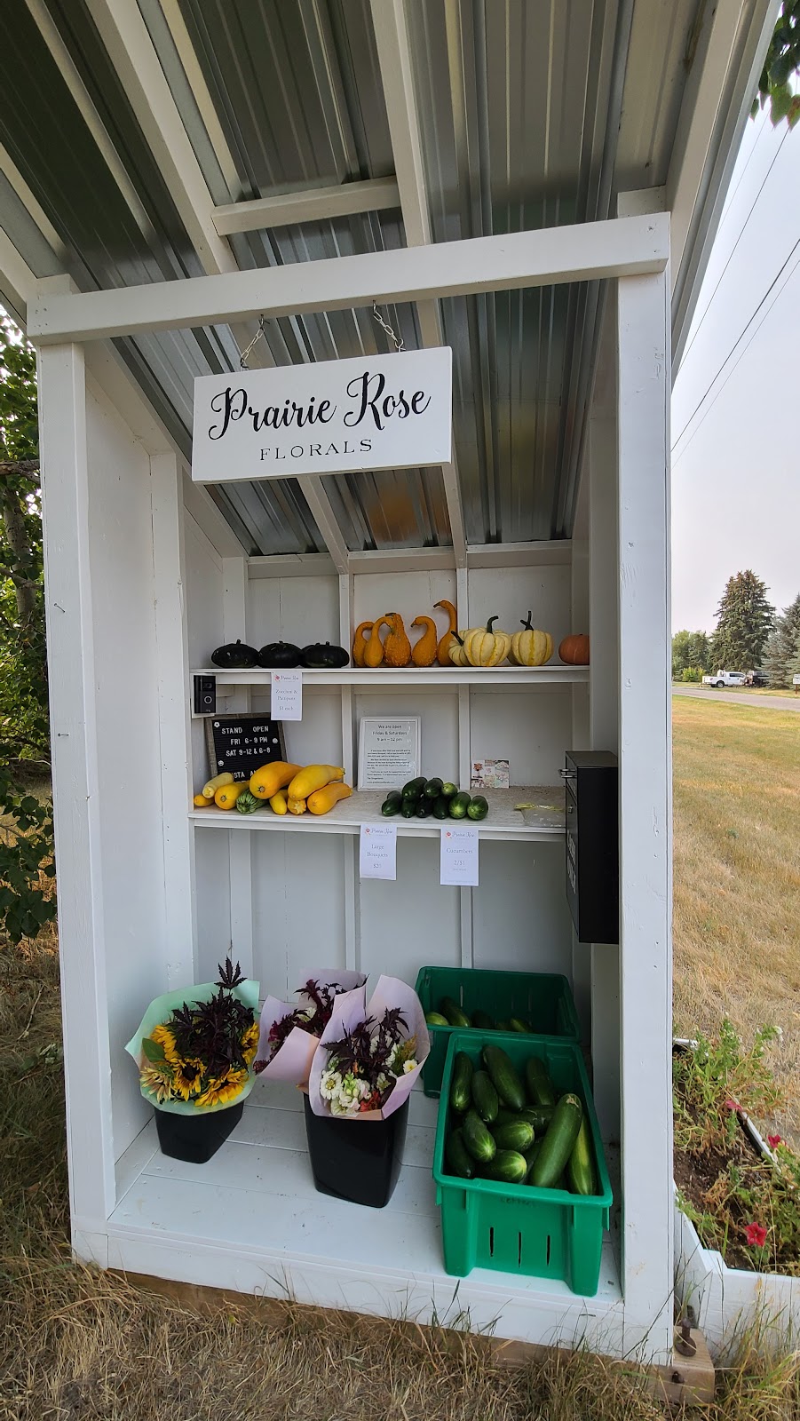 Prairie Rose Florals | 118 4 St, Stirling, AB T0K 2E0, Canada | Phone: (403) 394-4195