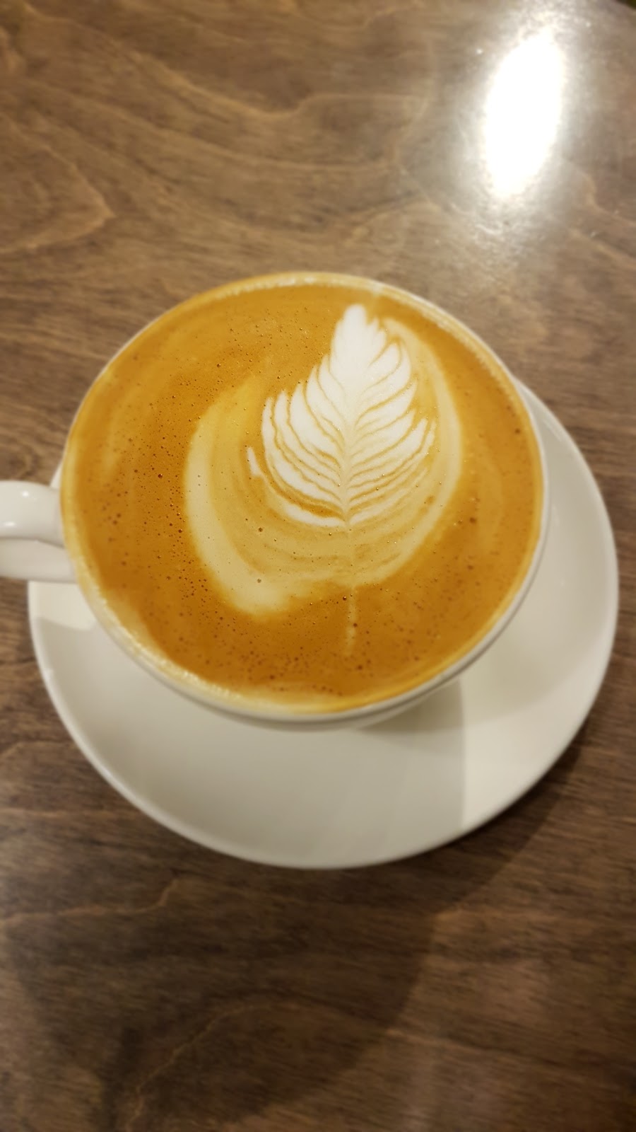 Bridgehead | 2140 Carling Ave, Ottawa, ON K2A 1H1, Canada | Phone: (613) 729-6085