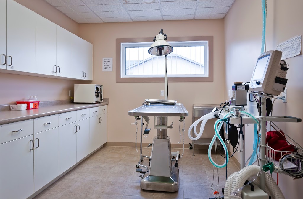 Warman Veterinary Clinic | 100A Crystal Springs Dr, Warman, SK S0K 0A1, Canada | Phone: (306) 933-3235