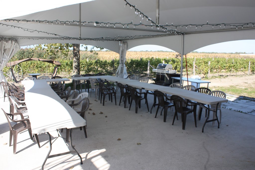Vignoble Vertefeuille | 1960 Rang Saint-Raphael, La Prairie, QC J5R 0K4, Canada | Phone: (438) 401-1574