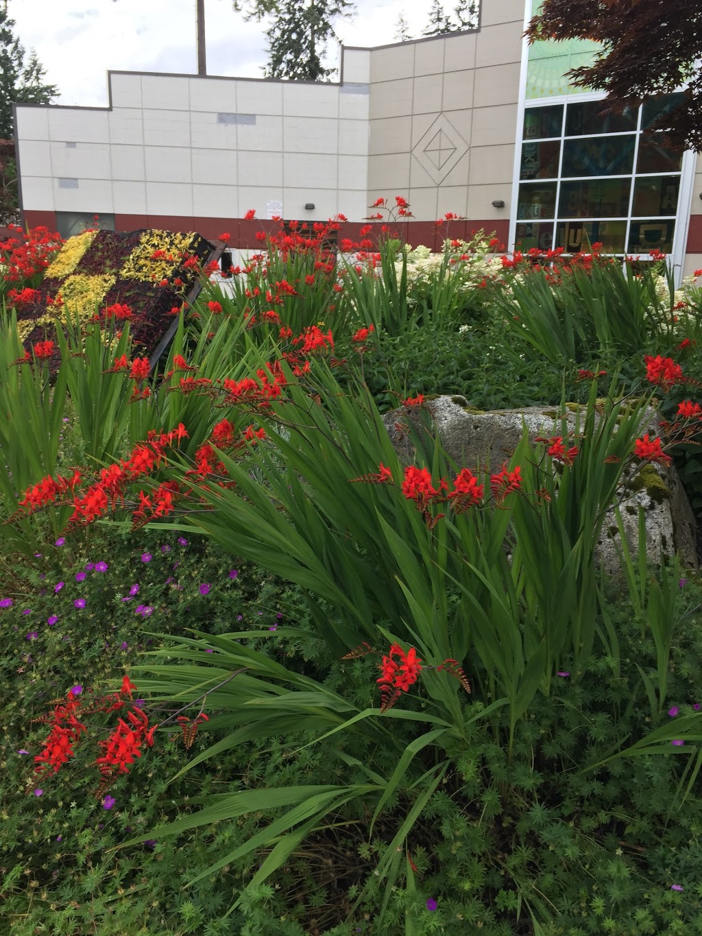 Poirier Branch, Coquitlam Public Library | 575 Poirier St, Coquitlam, BC V3J 6A9, Canada | Phone: (604) 554-7323