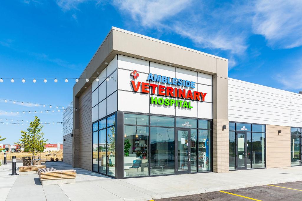 Ambleside Veterinary Hospital | 16412 Ellerslie Rd SW, Edmonton, AB T6W 4S8, Canada | Phone: (780) 433-0300