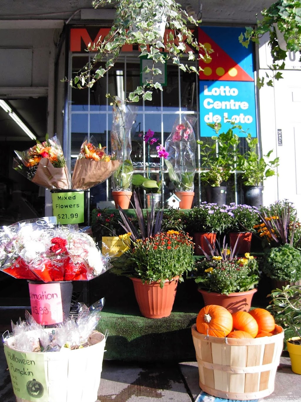 Chester Variety | 410 Danforth Ave, Toronto, ON M4K 1P3, Canada | Phone: (416) 778-6436