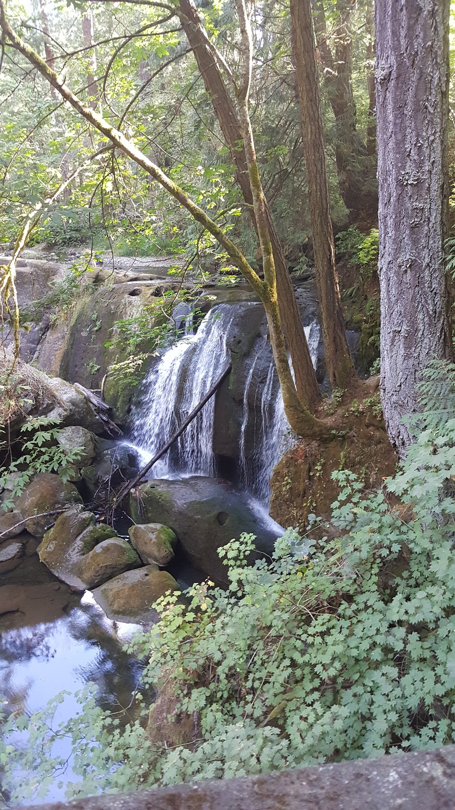 Cascade Inn | 208 N Samish Way, Bellingham, WA 98225, USA | Phone: (360) 733-2520