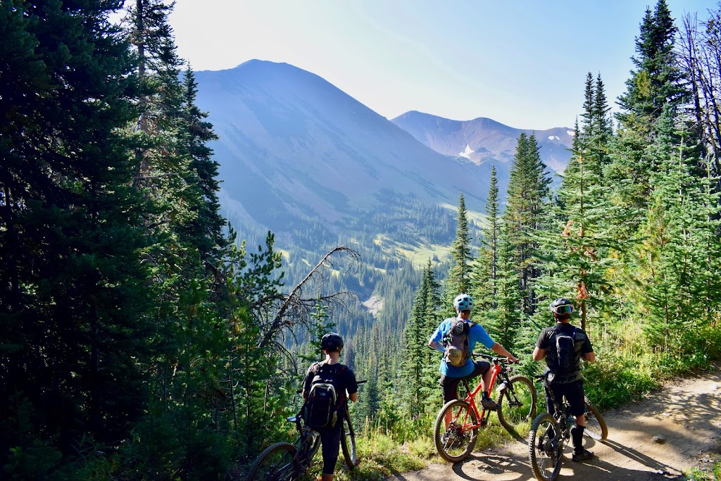 Pineridge Mountain | 1904 Pine Ridge Mountain Link #21, Invermere, BC V0A 1K4, Canada | Phone: (877) 578-4493