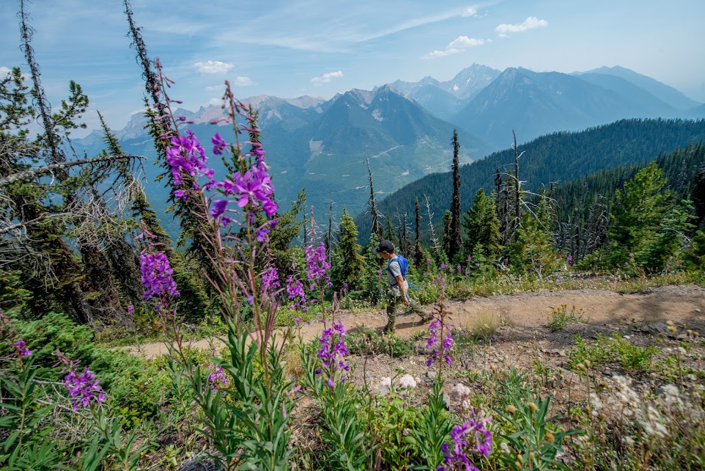 Mark Davies PREC* - Realtor Kimberley, BC | 290 Wallinger Ave, Kimberley, BC V1A 1Z1, Canada | Phone: (250) 427-0422