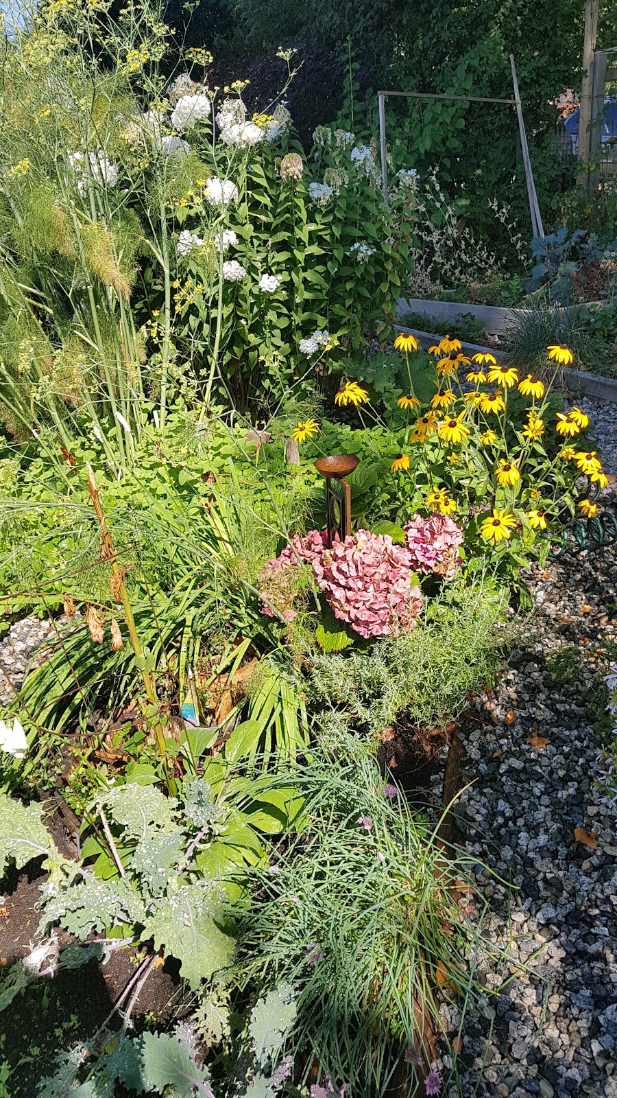 Wall Street Community Garden | 2099 Portside Bikeway, Vancouver, BC V5L 1B3, Canada | Phone: (604) 873-7000
