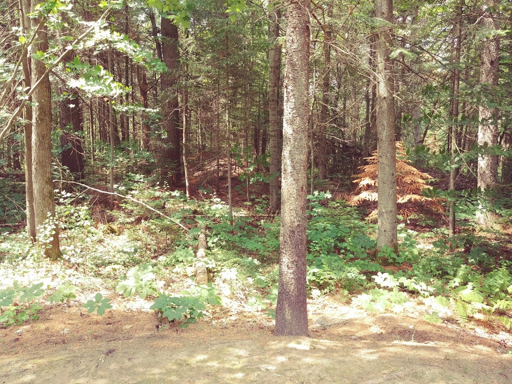 Chalet des Bens | 223-251 Rue du Domaine des Trois Lacs, Saint-Cuthbert, QC J0K 2C0, Canada | Phone: (514) 566-4310