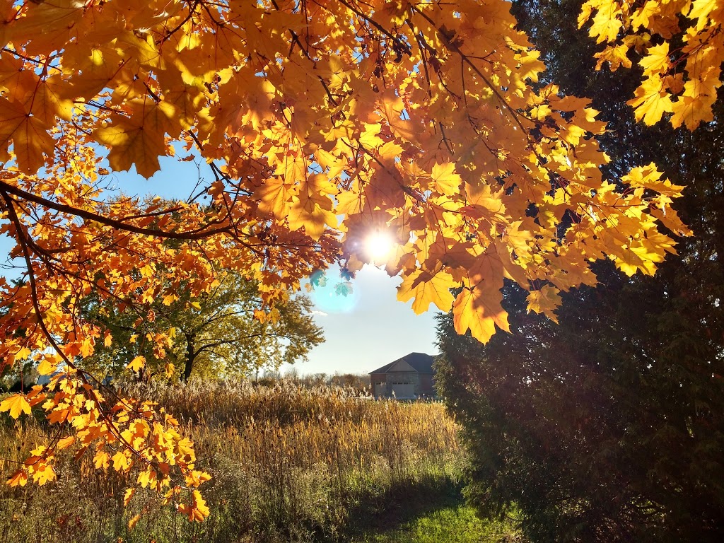 Wawanosh Wetlands Conservation Area | 6013 Blackwell Side Rd, Sarnia, ON N7X, Canada | Phone: (519) 245-3710