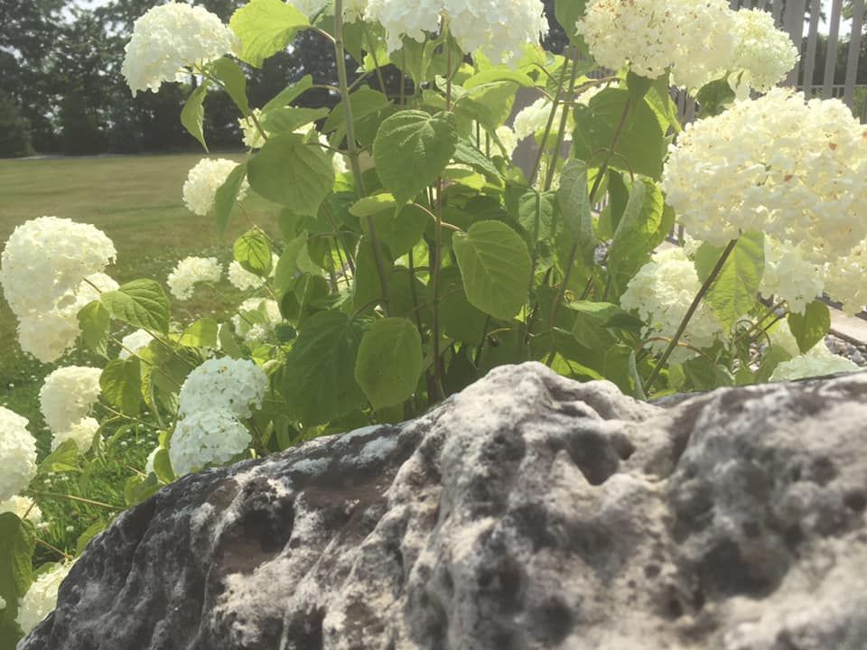 Ground Keepers - Design & Landscaping | 732 Road 6 E, Ruthven, ON N0P 2G0, Canada | Phone: (519) 564-7547